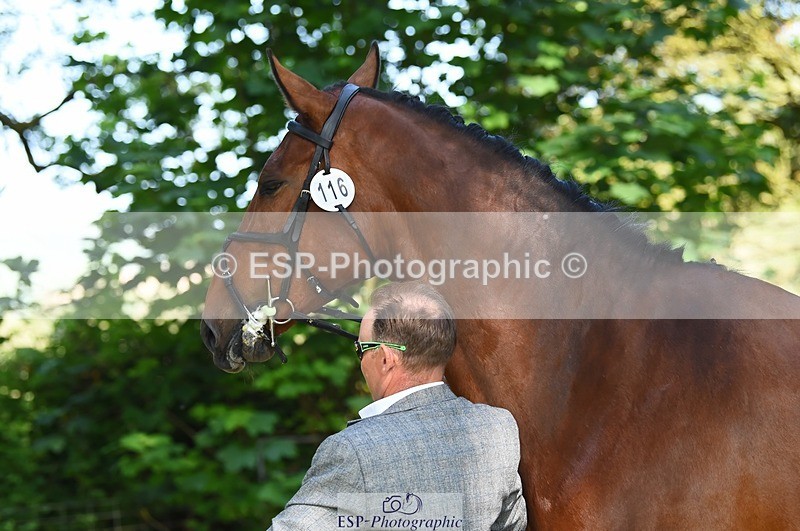 230524-164836-01105 - 116-MONBEG_DARWIN-Michael_Owen-WEDTrotUp+DR