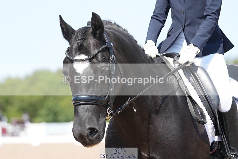 250817-134647-10502 - 171-Jessica.LaceyMoelwyn.Lowri.Ddu