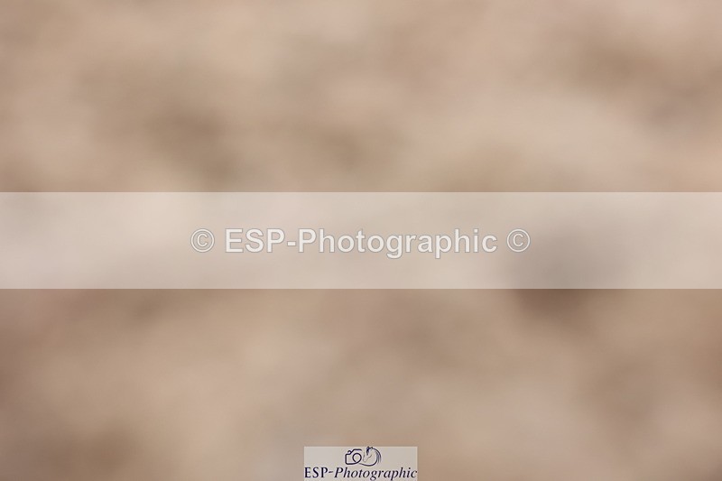 240621A-114940-00515 - Cls 12 BD Music Medium