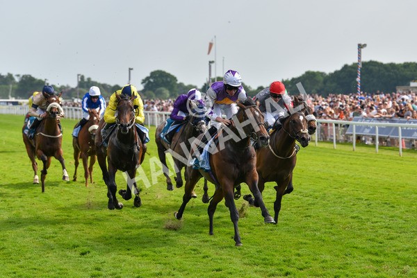 270523-Race 6-Quantum Impact-4552 - Race 6 4.25pm Royal Yorkshire Regiment Handicap