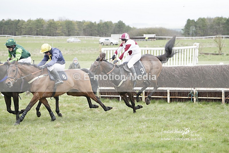 PtP 260323 0501 - New Forest Hounds Point-to-Point Larkhill 26/03/23