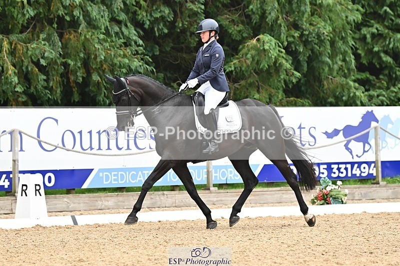 240811-120259-05326 - 118-Katie.Kneen-Springtime.Evergreen