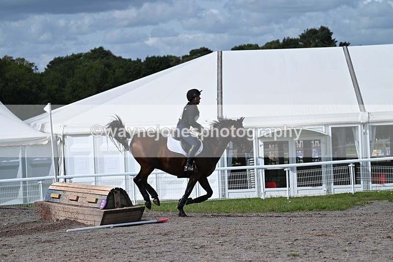 WJ7_1964 - Time 13:17 to 13:53