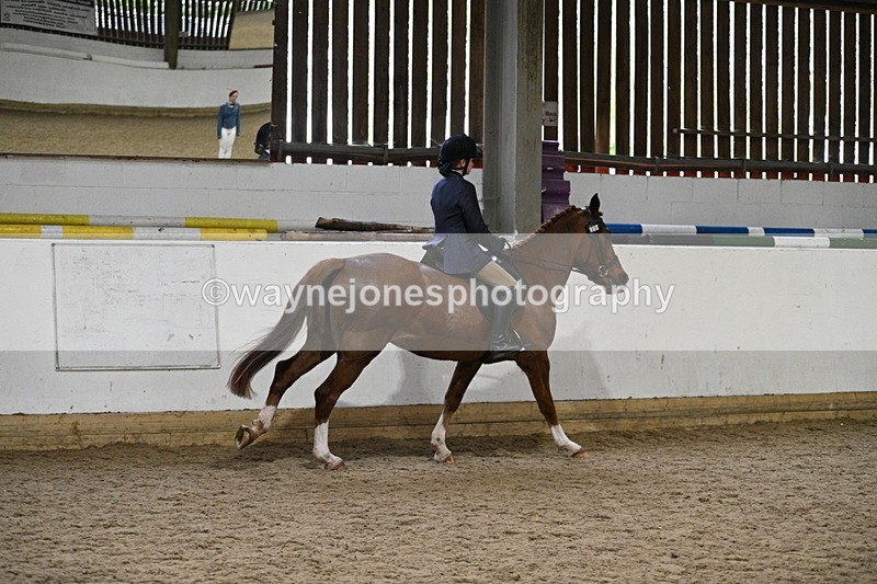 WJ7_3855 - Class 17 Ridden Cob