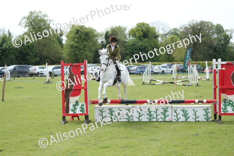 20260426-2093 - Class 15 - Absolute Novice 70cm