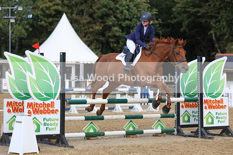 3E7A9072 - Class 9: Senior British Novice/90cm open