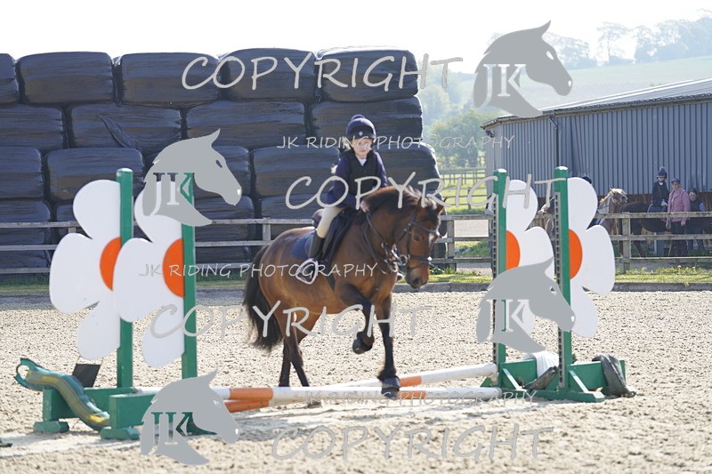 _DSC6454 - USJL Oakingham Stud 27.04.25