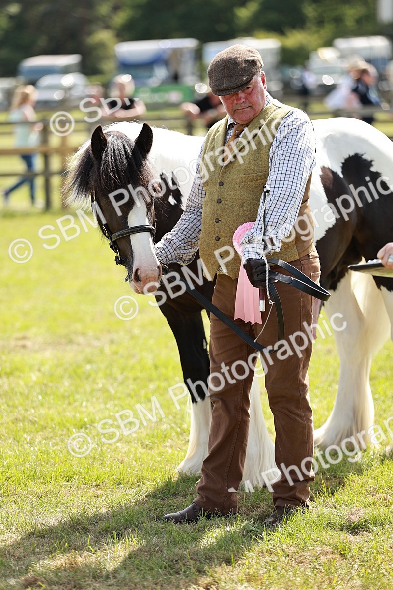 SBM_08729 - Class 63-65 - Traditional Gypsy Cobs In Hand & Ridden