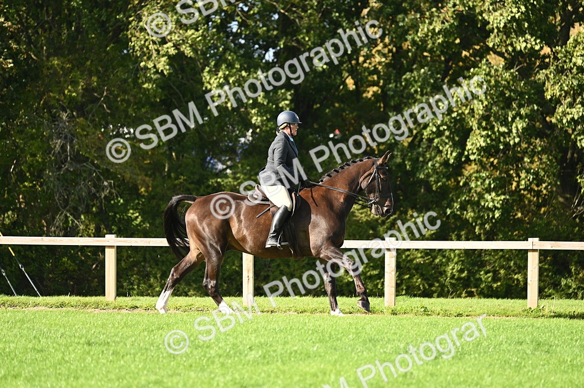SBM_26435 - S6 - Novice & newcomer Ridden horse