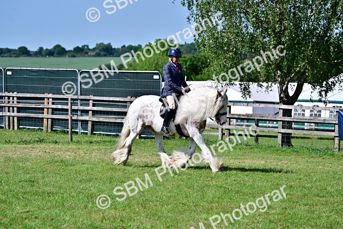 SBM_19397 - Class 101-102 - BSPS LIHS Performance Coloured Horse/Pony