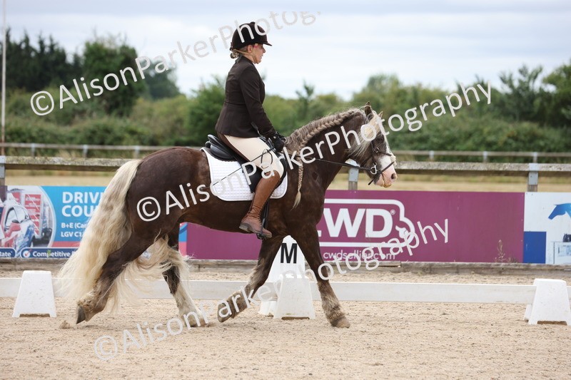 20250706-0141 - Class 13 - Prelim 5