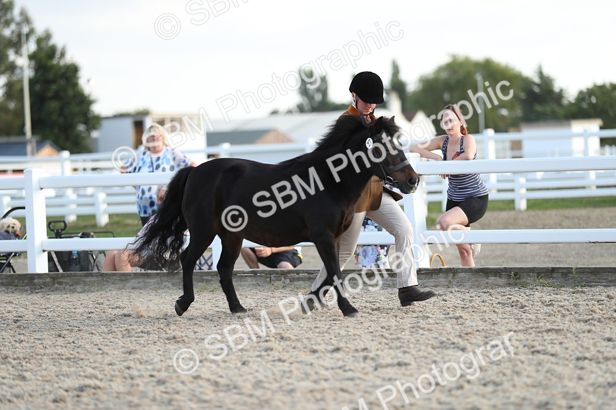 SBM_08914 - Class 29 IH Veteran Pony