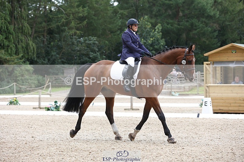 230812-120537-03924 - Cls 5 Novice Bronze 11.15 to 12.50 break