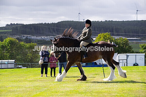 DSC_0243 - Ring 1