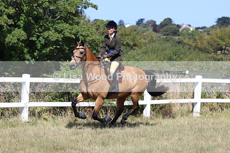 3E7A6430 - Working Hunter Championship