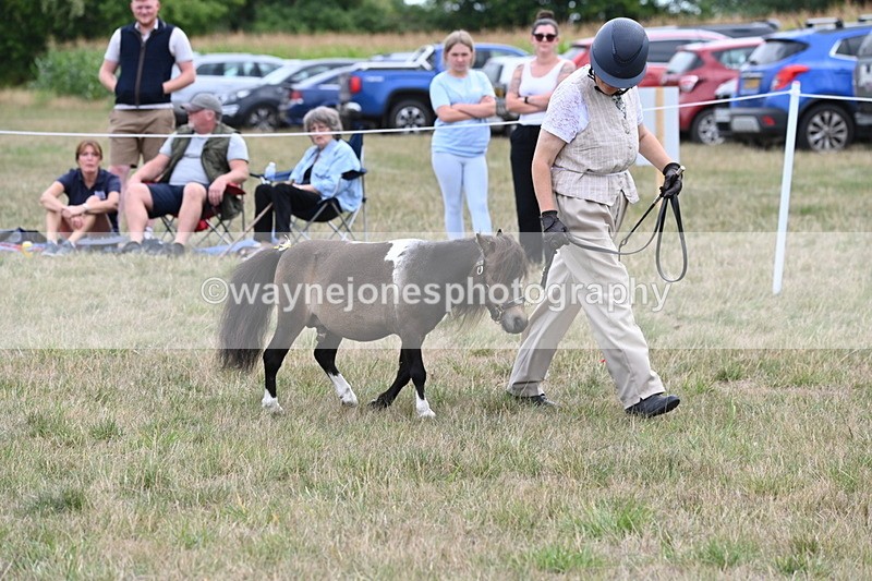 WJ6_5678 - Class 18 In-hand Coloured