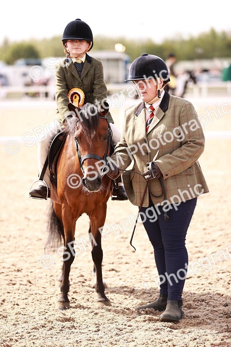 SBM_14408 - Class 409 - Grassroots Ridden - Pony