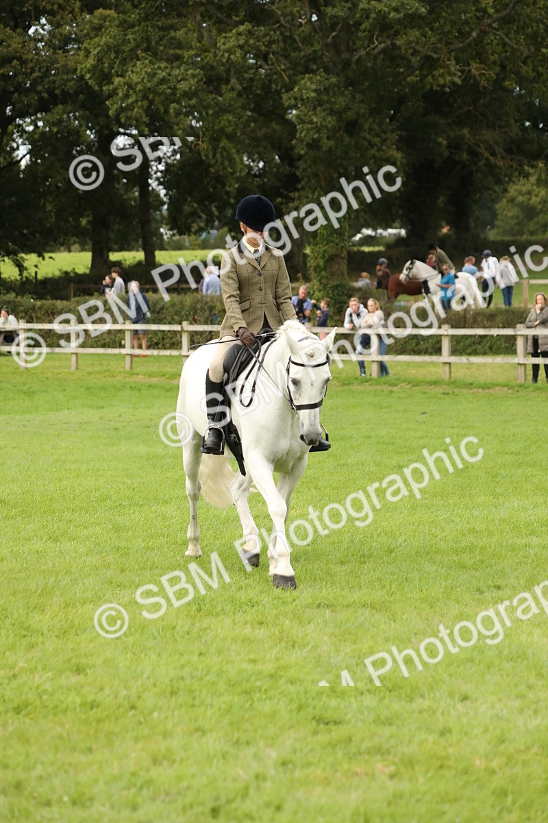 SBM_71674 - S41 - Ridden Equitation (Best Rider)