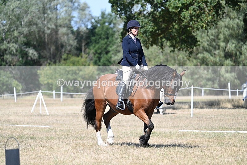 WJ7_0832 - Time 12:03 to 12:23