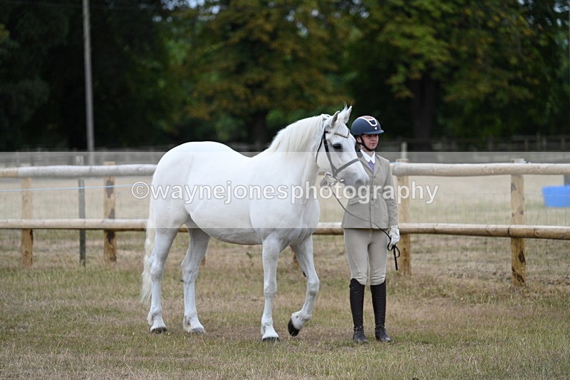 WJ7_8738 - Class 4a Prettiest Mare 14.2hh and over