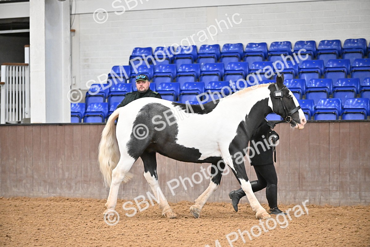 SBM_000010 - Class 1 - In Hand Cob