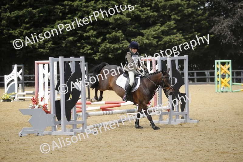 20250622-4036 - 50cm