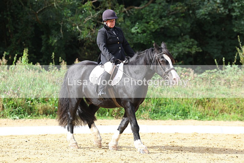 3E7A2329 - Class 1: Intro 4 2024 section A