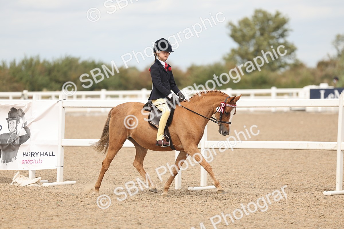 SBM_15962 - Class 311 - Ridden Show pony-Show hunter Pony