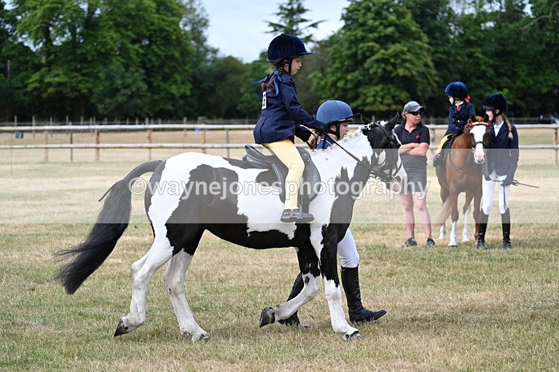 WJ7_9781 - Class 1 Lead Rein Pony