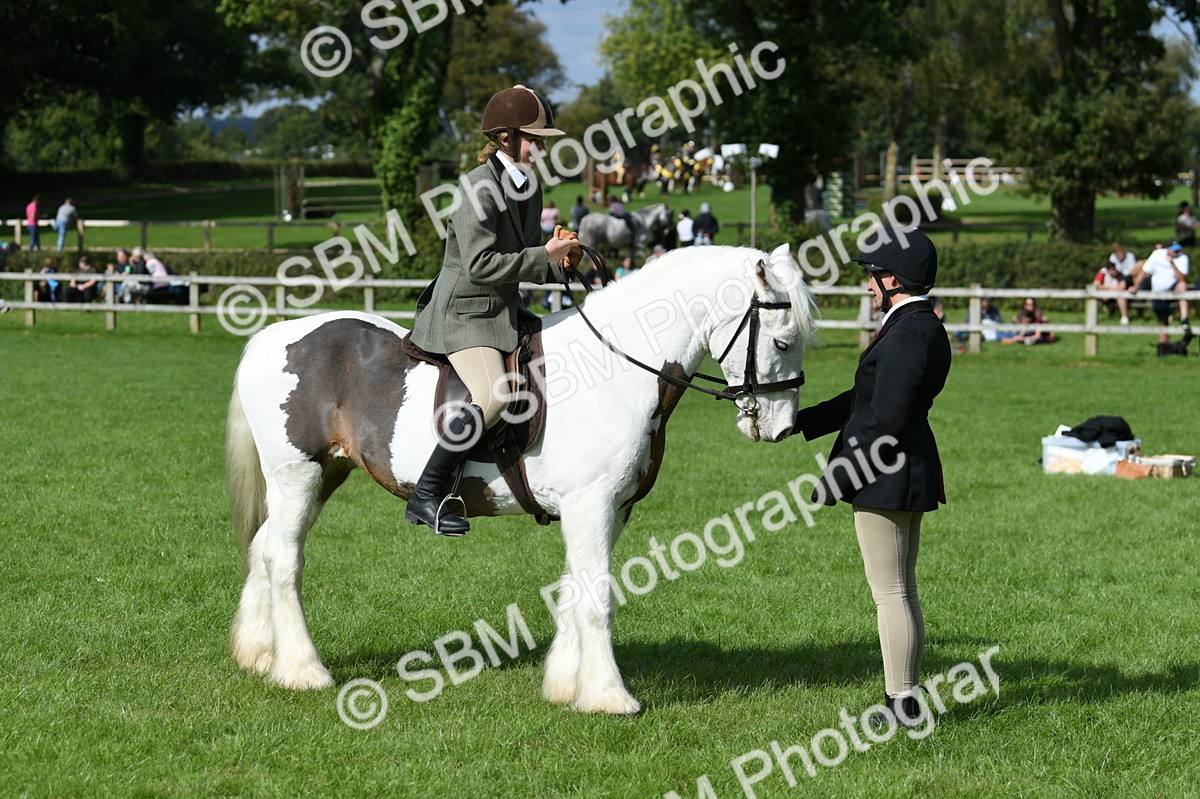 SBM_47021 - S12 - Family Horse & Pony