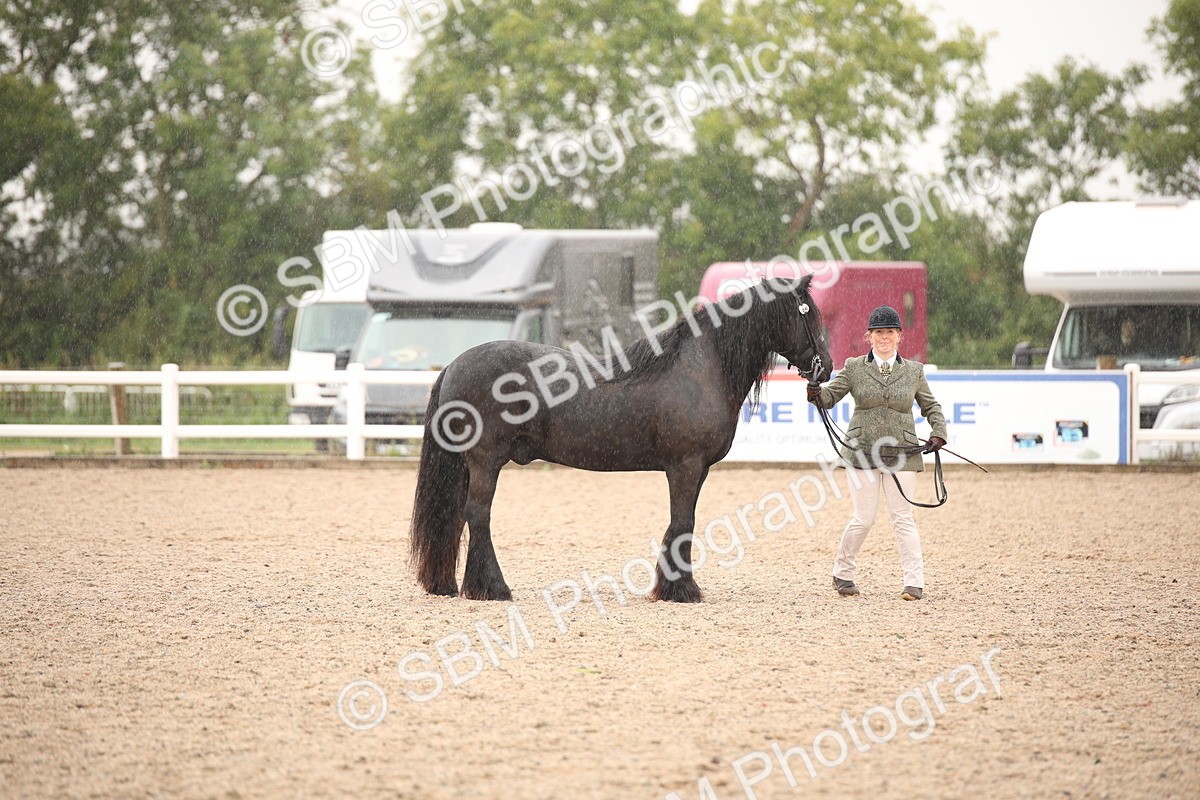 SBM_20700 - Class 705 - IH  Combination 65+