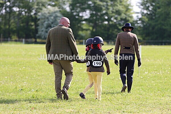 IMG_2112 - Working Hunter