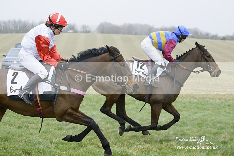 PtP 200222 493 - Countryside Alliance PtP Badbury Rings 20/02/22