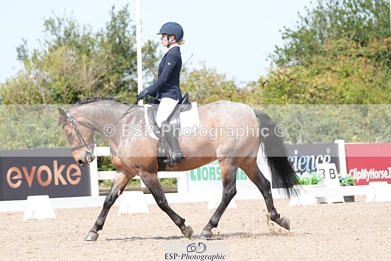 250817-125142-09458 - 177-Joanne.PengellyAshfield.Bob