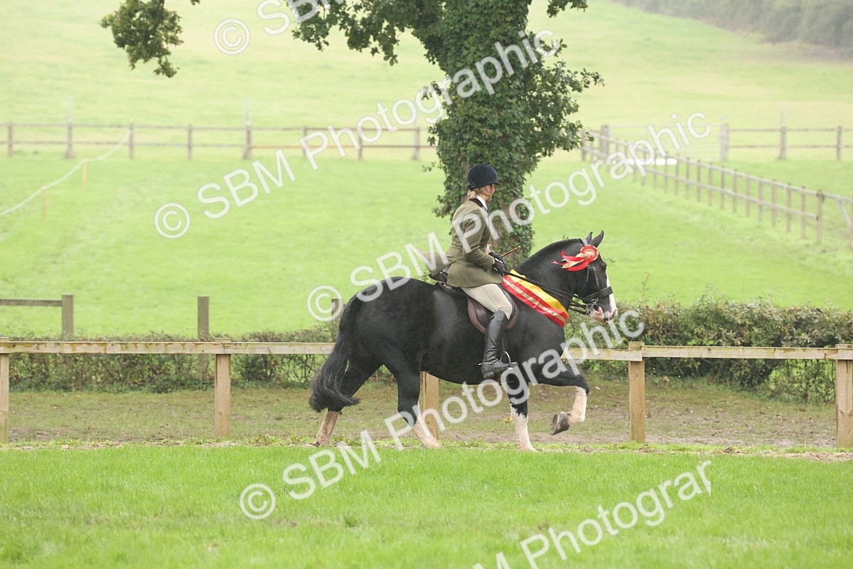SBM_72958 - Ridden Horse Supreme Championship
