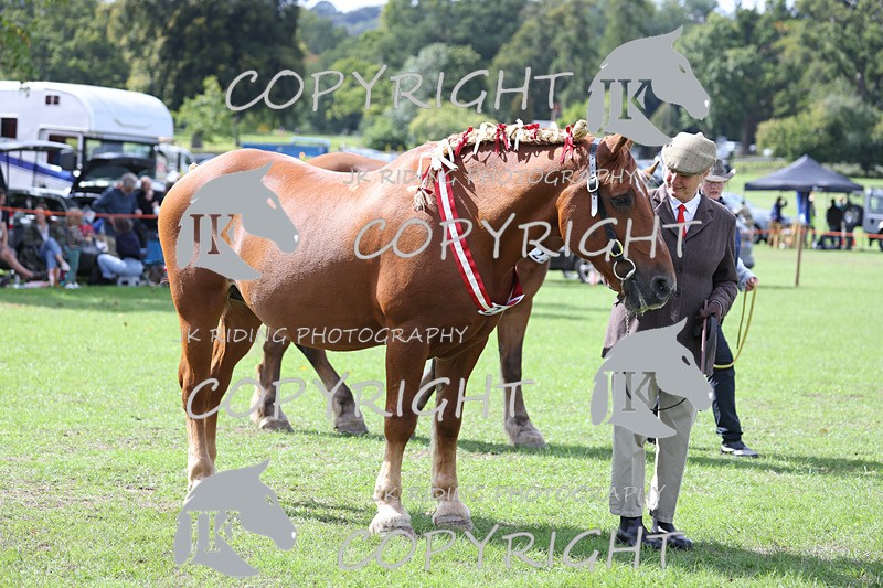 APP_3265 - Class 4 Veterans