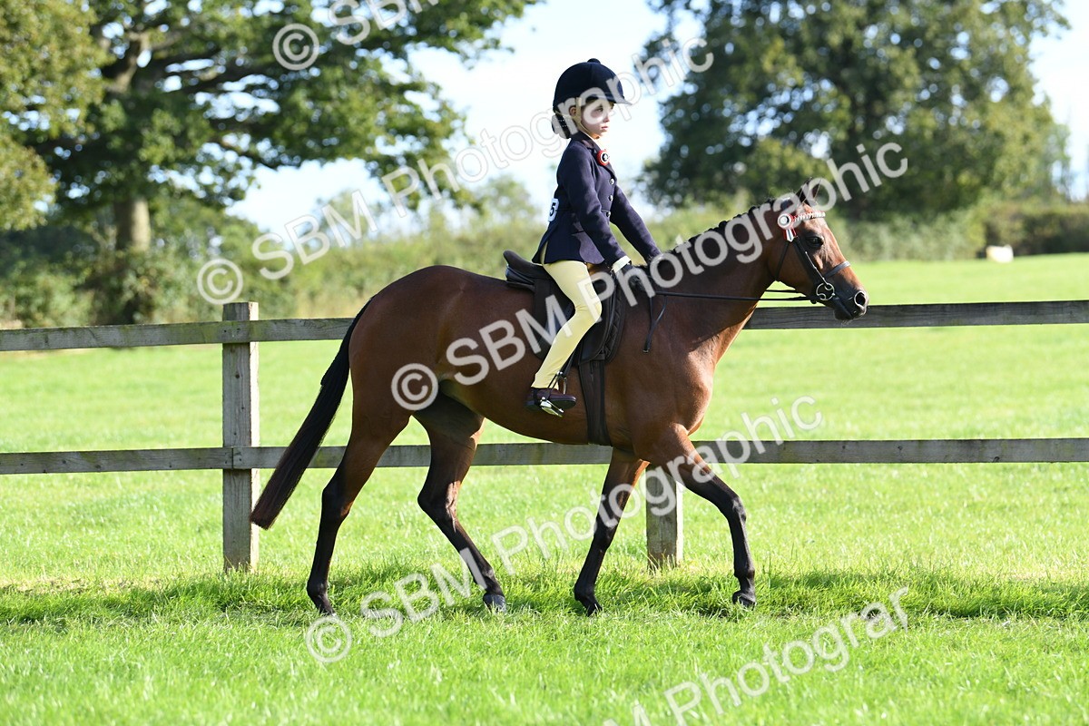 SBM_52378 - S22 - 1st Ridden Show & Show Hunter Pony