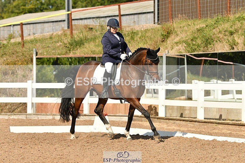 250817-155518-11391 - 211-Carey.CollettRubin's.Fanfare