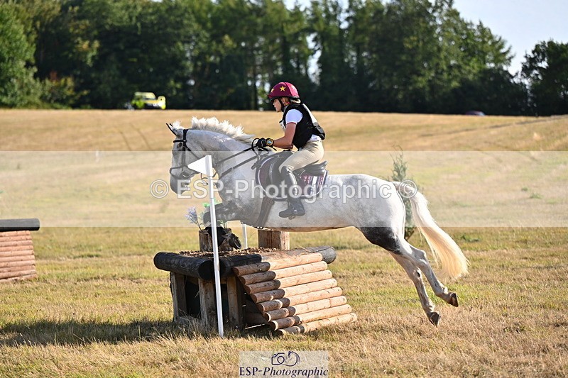 250803A-181106-18253 - R-824-Poppy.Wilkinson-DAISY.DER.BLUME