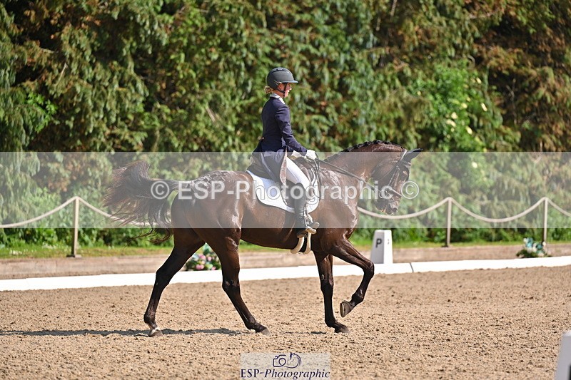 250523A-164000-08127 - B-379-Kelli.Frewin-HIDDEN.GOLD