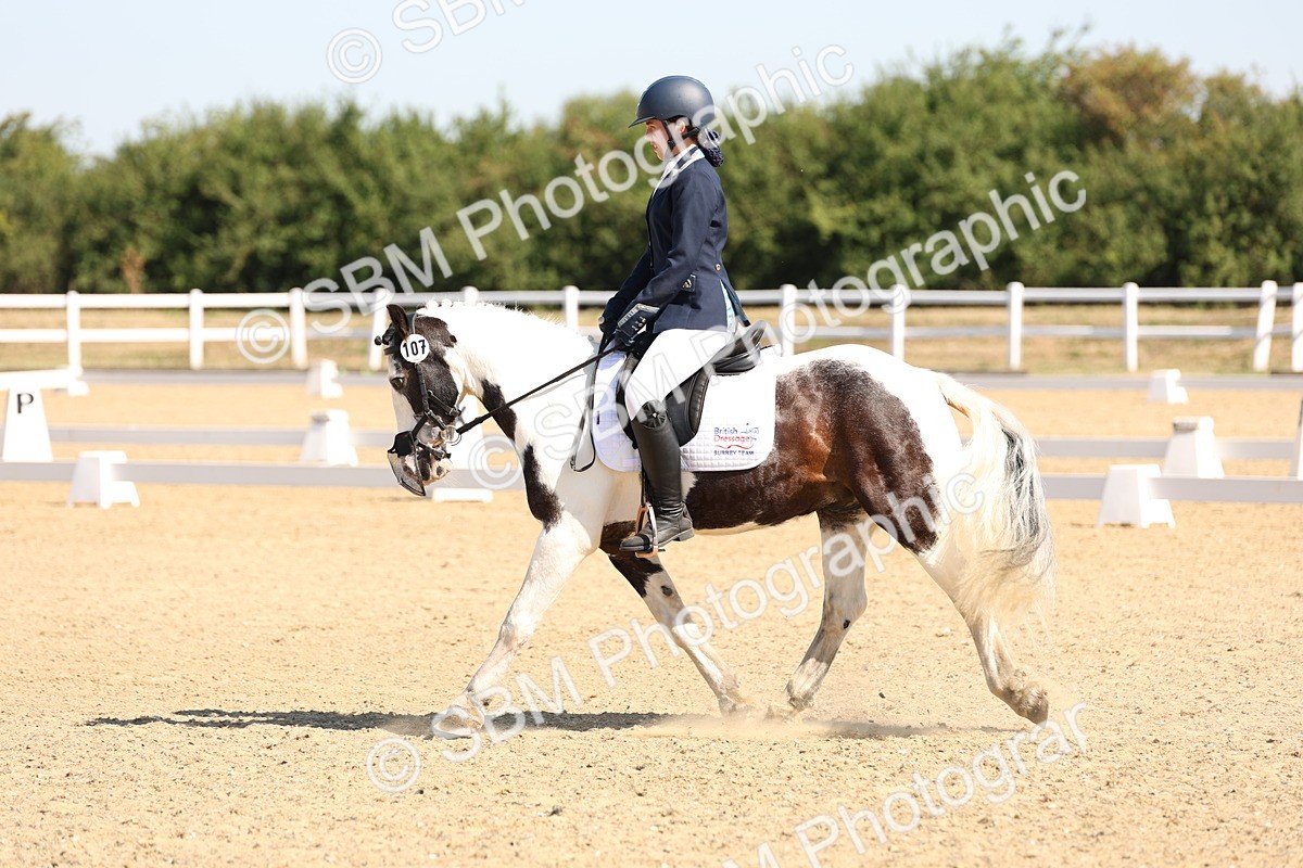 SBM_001039 - Intro 2