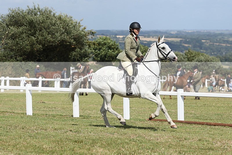 JPP_2478 - Class 19: Working Hunter 60cm