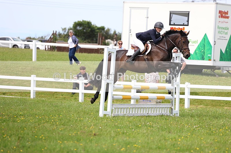 3E7A1585 - Class 13: Senior British Novice/90cm open