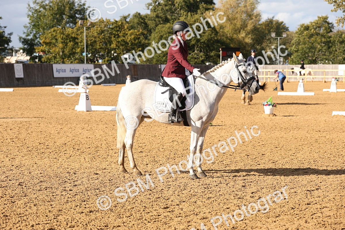 SBM_50480 - D12 - Small Tour Championship prelim 2
