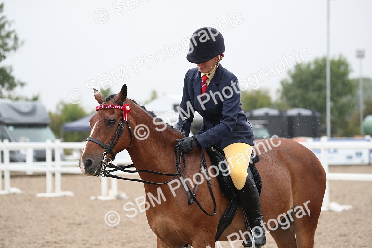 SBM_20502 - Class 601 - 2025 Area - Ridden Diamond