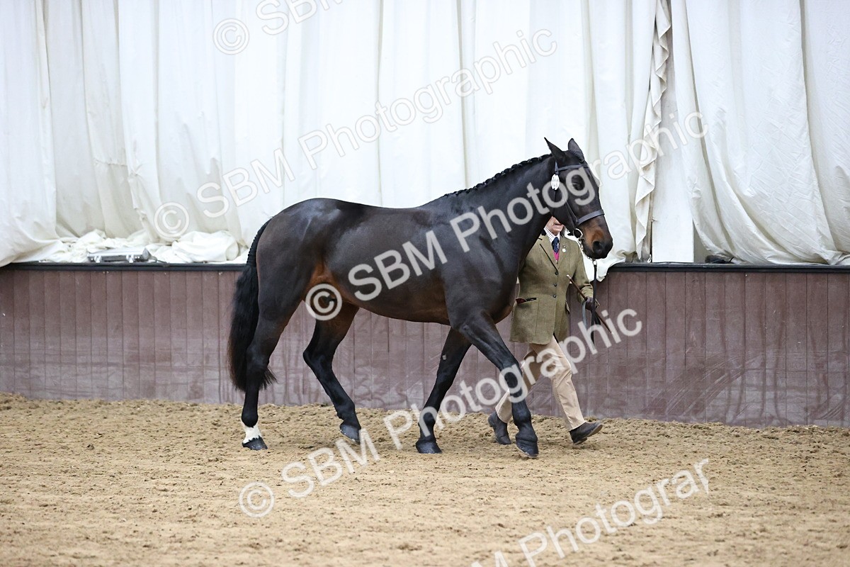 SBM_5620 - Class 40 - RESS In Hand Qualifier