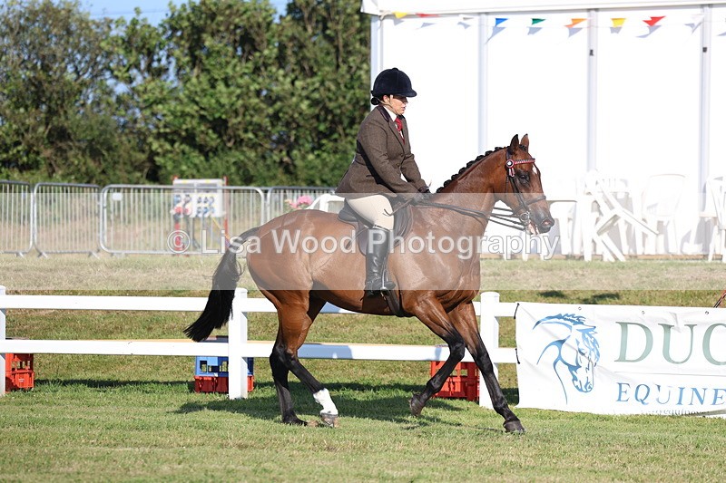 3E7A4942 - Class 1: Rising Star Small Hack/Riding Horses