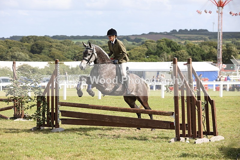 JPP_2604 - Class 20: Working Hunter 70cm