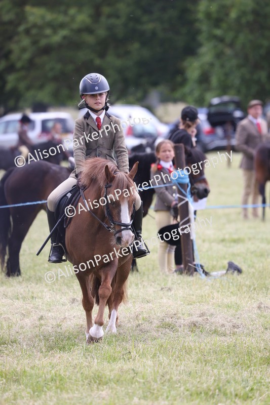 20260614-2062 - Class 21 - Novice Working Hunter Pony