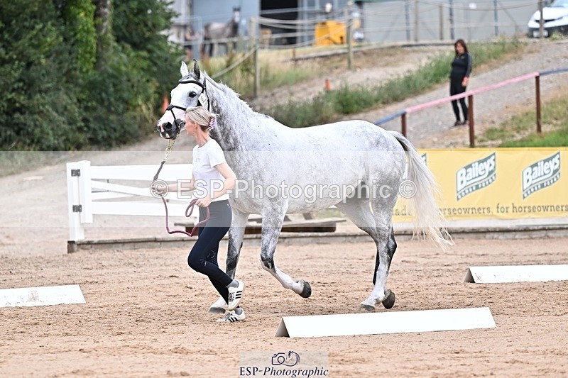 250716-133831-00606 - Trot Up 1.30 to 2.30